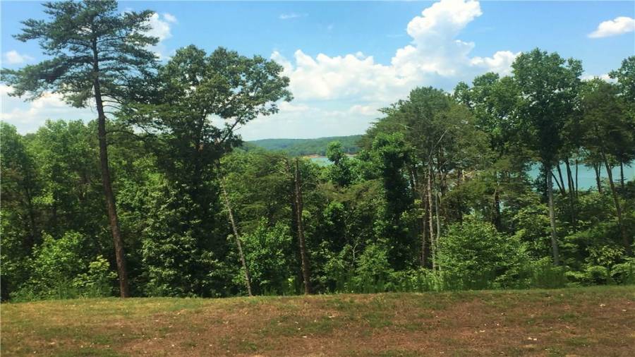 Lot 261 with View of Lake Lanier.