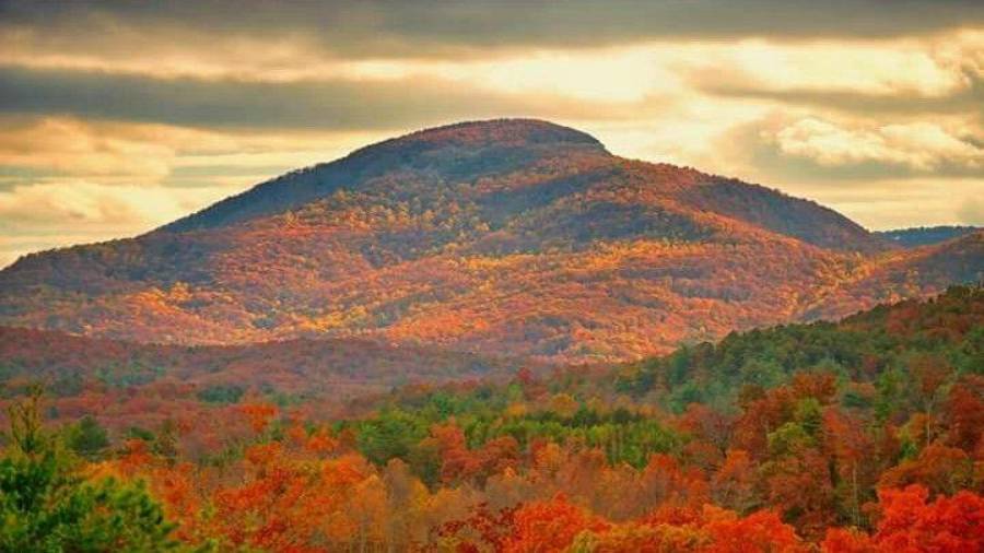 Yonah Mountains glorious fall foliage