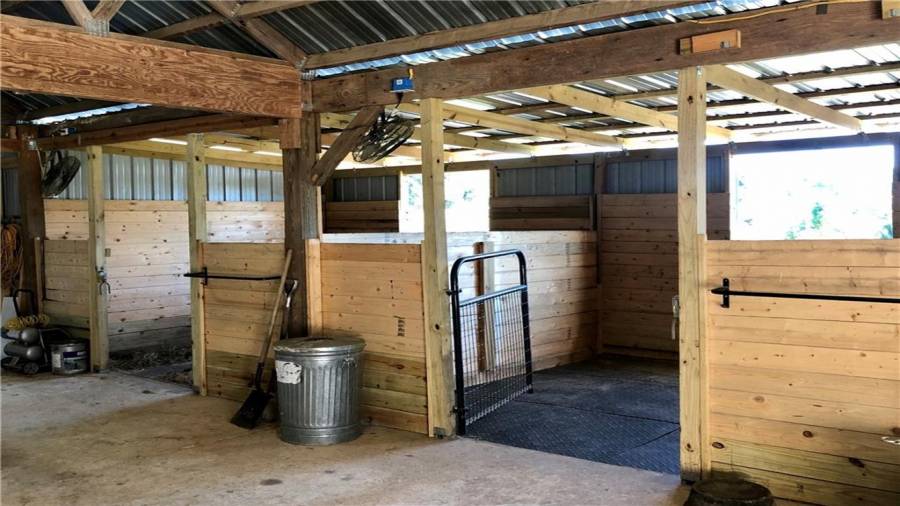 Photo is to show the matted stall floors.