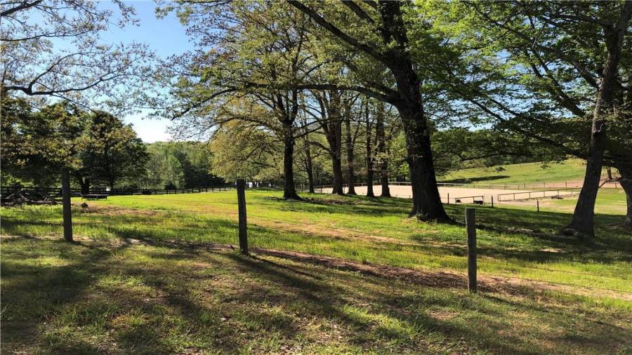 View of the arena and pastures form the back porch of the cottage.