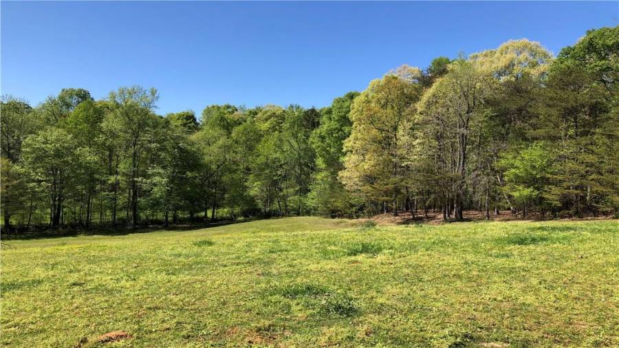 Larger back pasture corner leading to the gate to the rest of the property behind the creek.