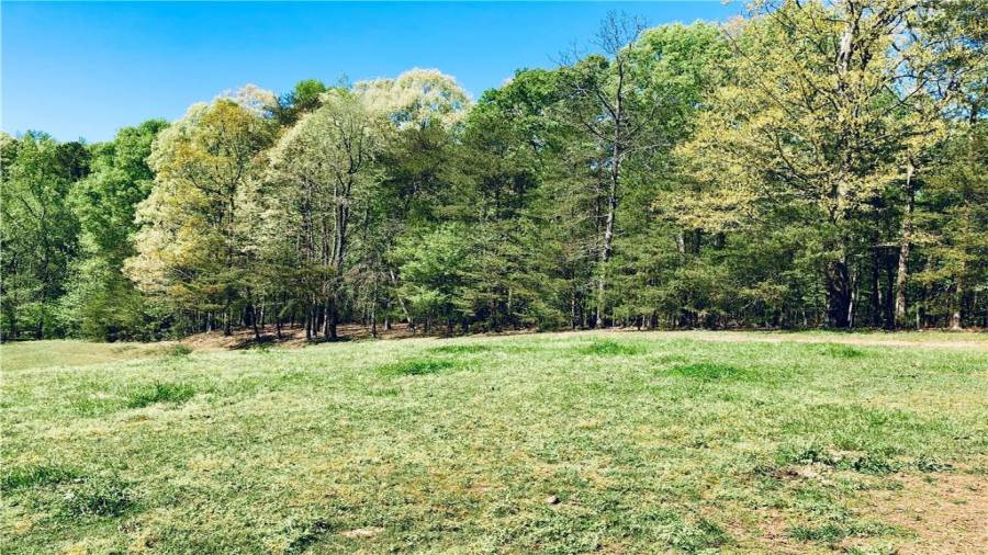 Area of the pasture that could be a new larger home building site.