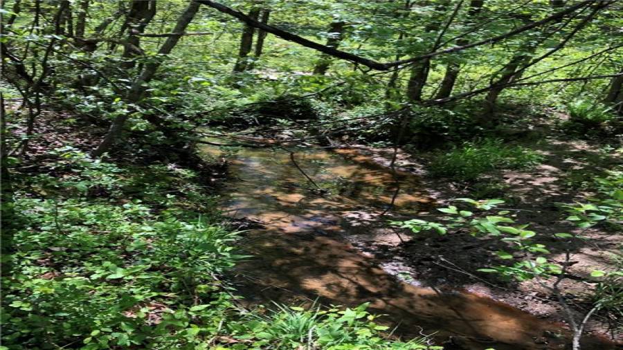 Creek on a low running day.