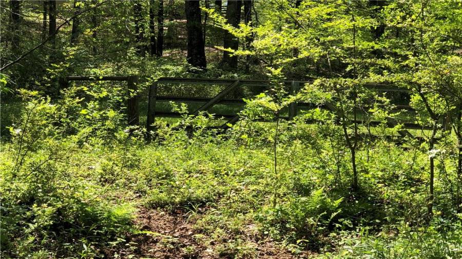 gate behind creek in large pasture with access to rear back paddock
