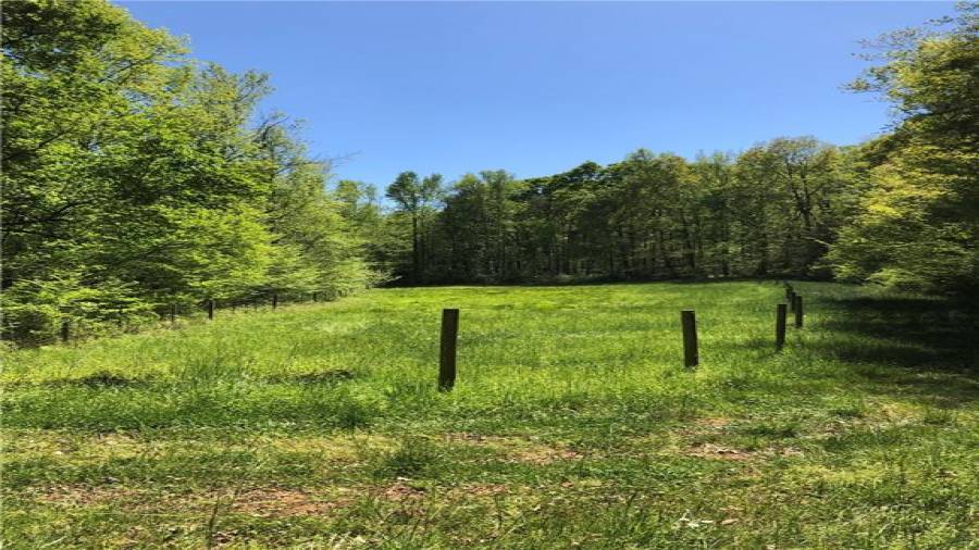 large acre paddock behind creek and access to the woods, remaining part of the property and neighbors trails.