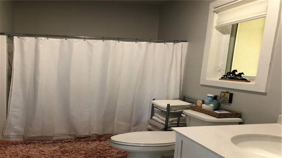 Guest bathroom