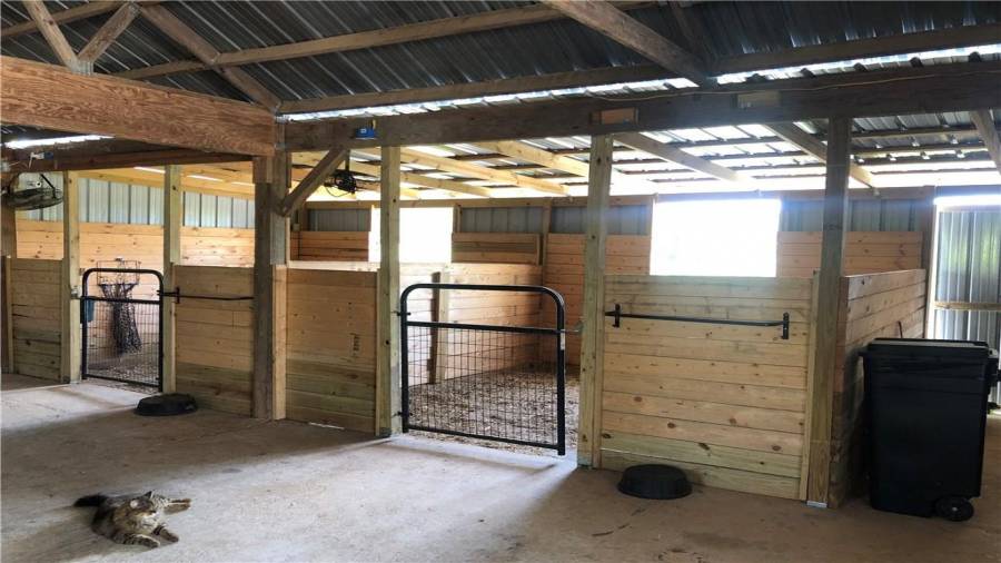 12x12 matted stalls feature dutch doors, Hay nets and fans. Remove center wall for a 12x24 mare-foal or rehab stall.