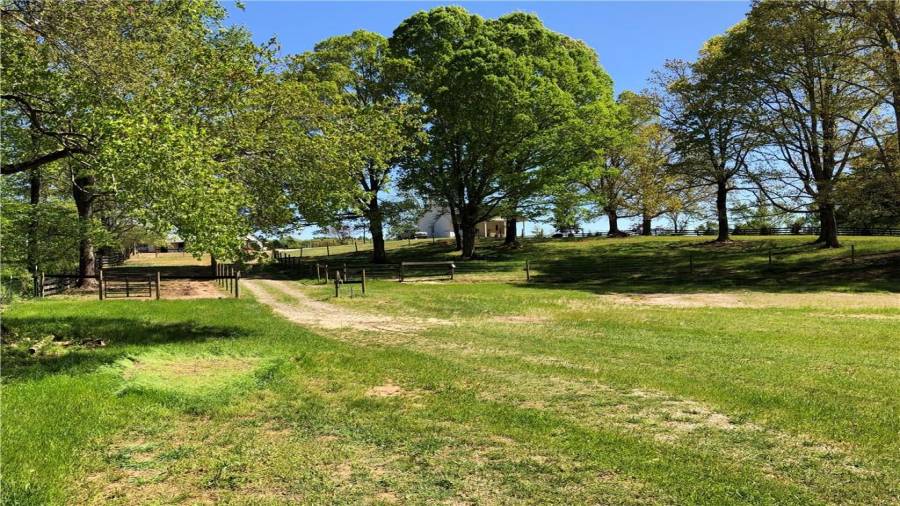 From the back pastures looking up at the cottage and barn. The left paddock is one of the 2 small mare-foal or drylot/rehab areas behind the barn.