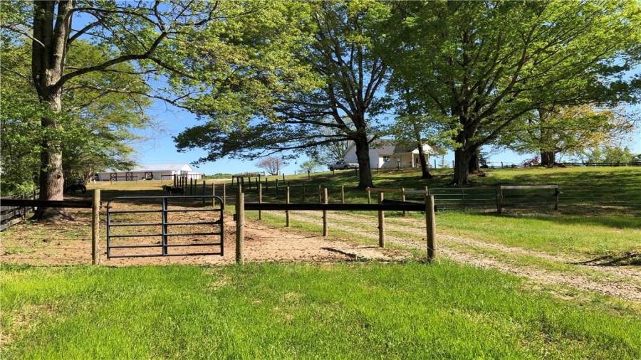 Mare-foal, dry lot or rehab lower paddock behind barn. This area will get grassy if allowed.