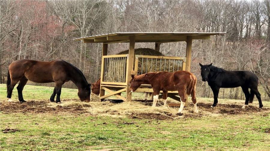 Horses enjoying a fresh dry round bale from the slow feed hay house. This can remain if desired.