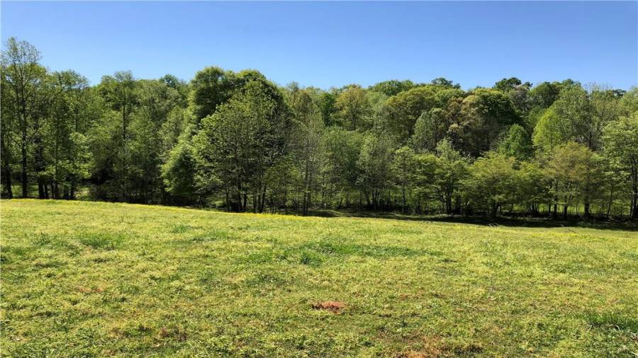 View from the top of the hill in the second larger pasture. This could be the site of a larger home.