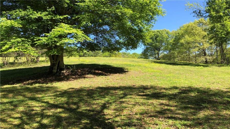View from the creek area looking back up toward the front of the farm.