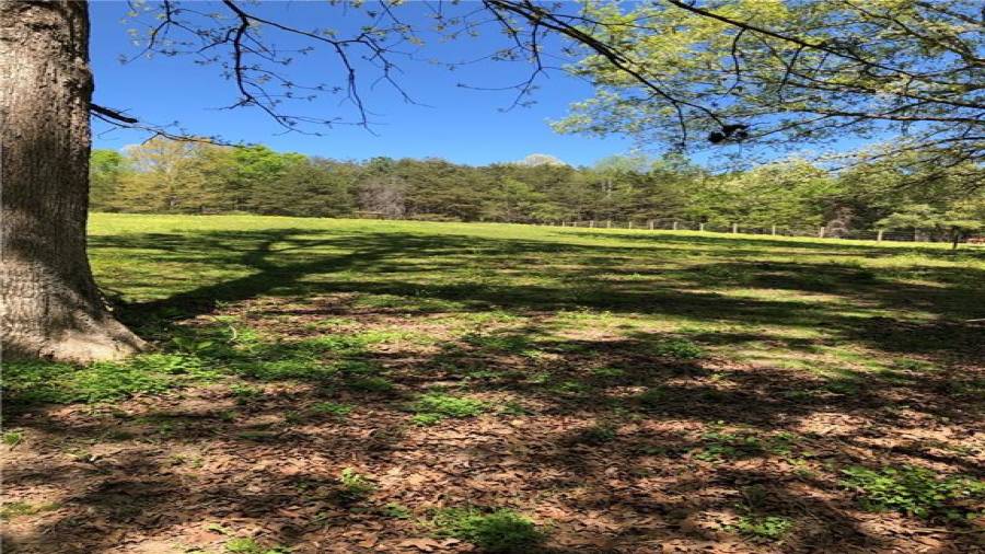 Enough shady areas to get out of the heat. This location is near the creek so it stays nice and cool as well and horses can drink fresh cool water if they desire.