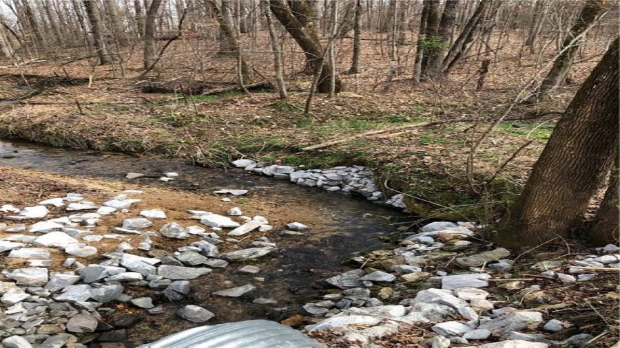 Creek culvert under driveway