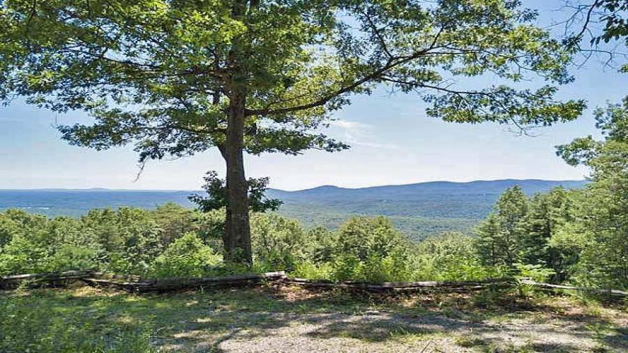 View from just outside the cabin