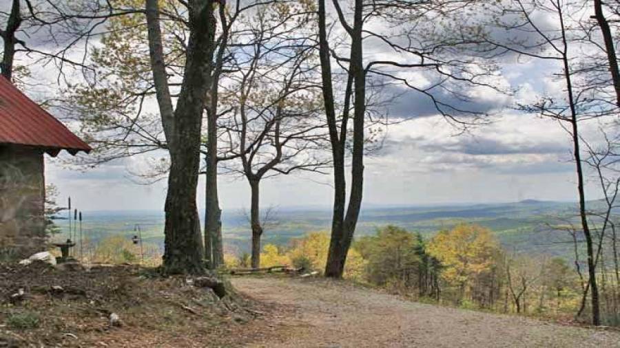 Views alongside the cabin