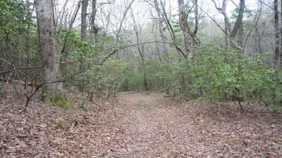Walking/riding trail around the mountain