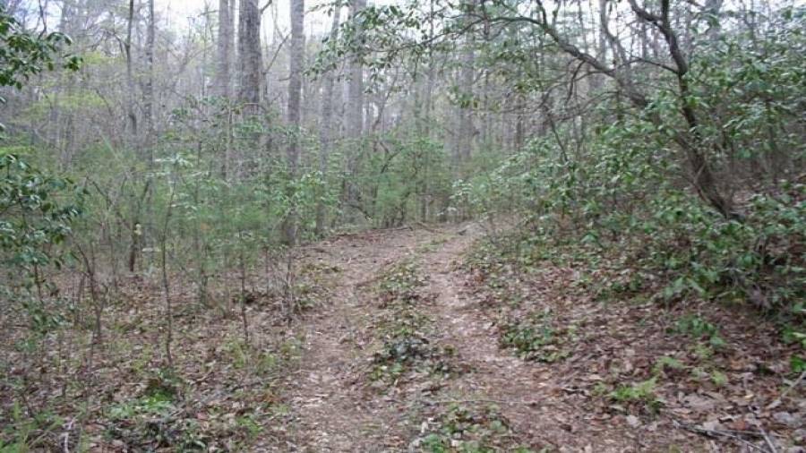 Coming down into the cove