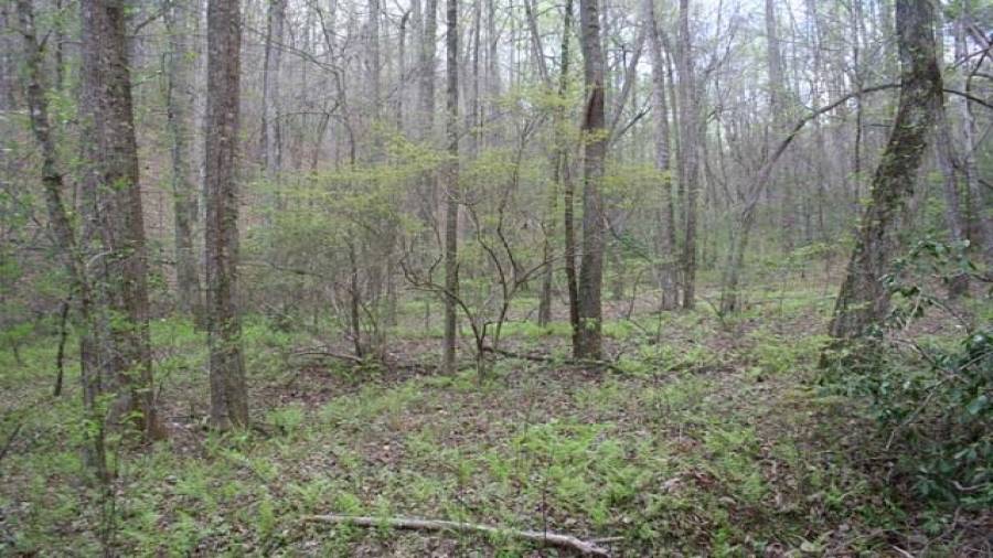 A flat mountain cove area