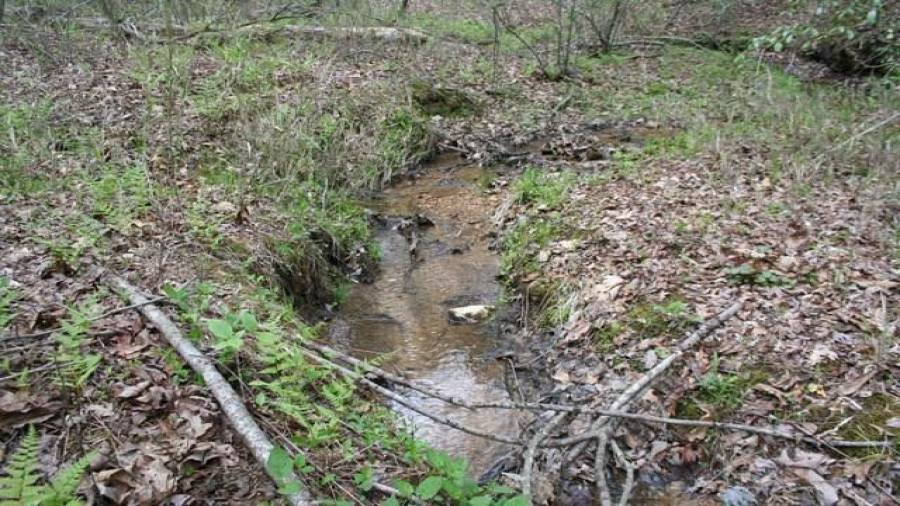 Clean waters originating on the property