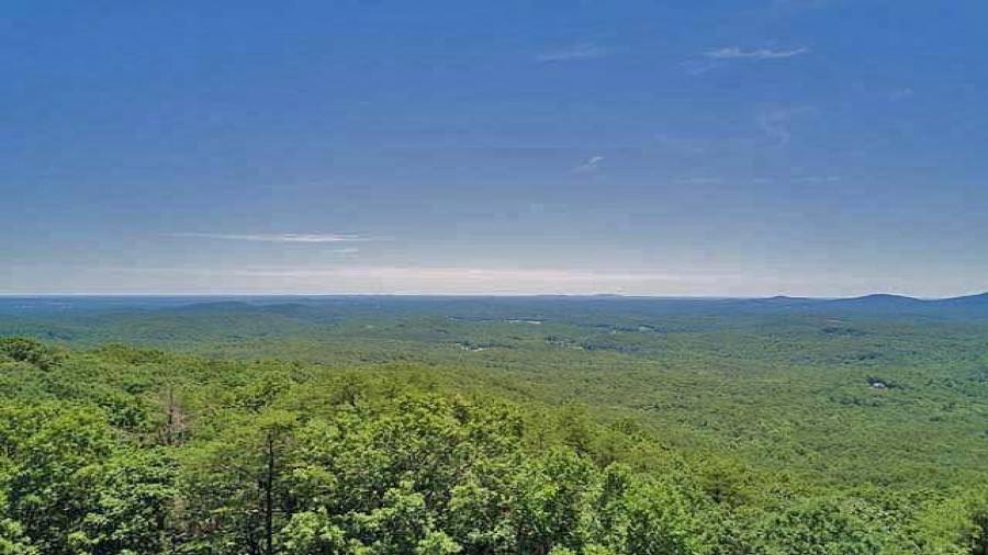 This is the view from the cabin