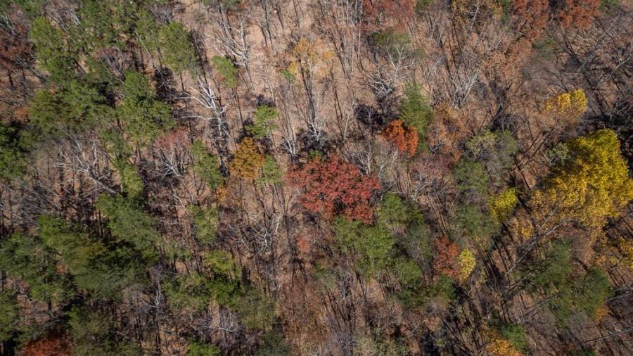 Drone Shot of the Lot