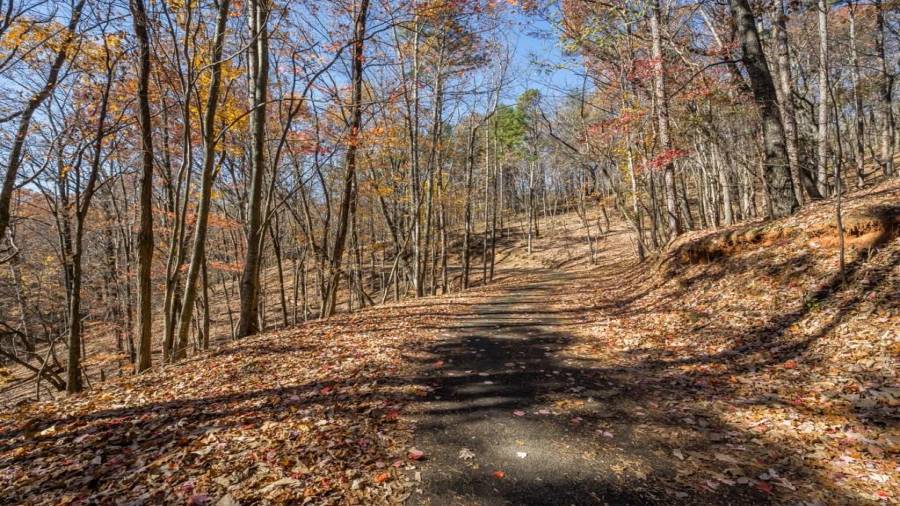 Road next to the Lot