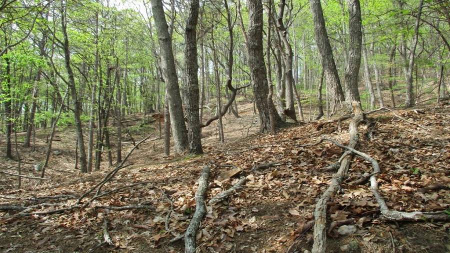 Great Place to Build