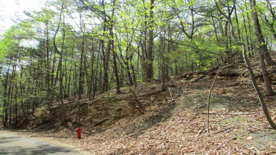 Close to Fire Hydrant