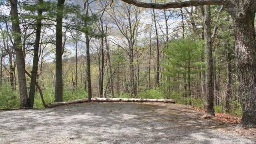 Parking area outside the cabin