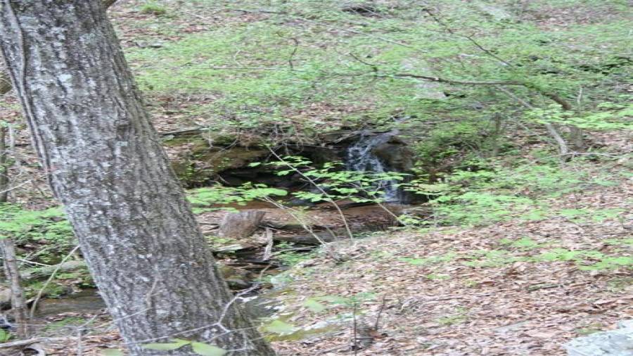 Waterfall as seen from the perch