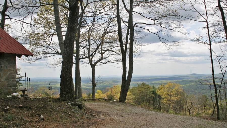 Views alongside the cabin