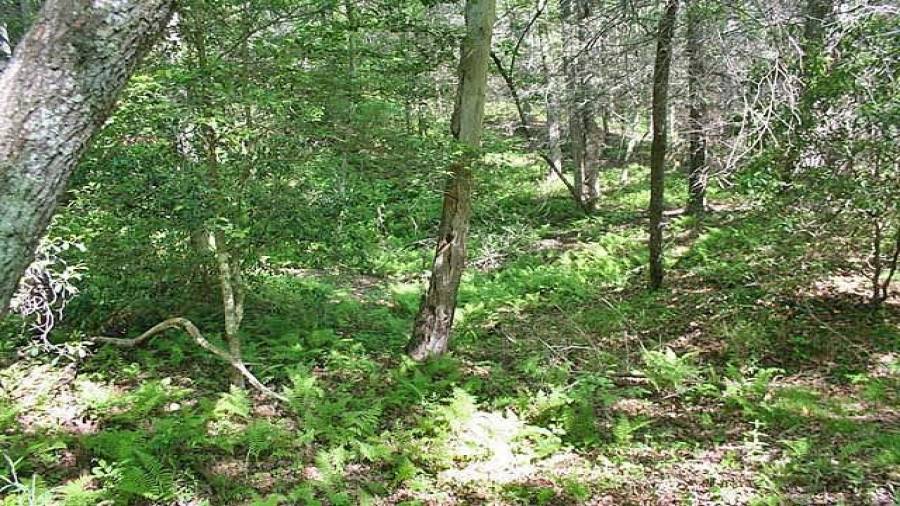 Some flat terrain along the river