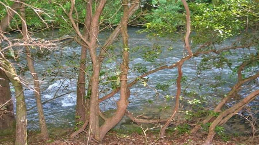 Wild waters flow through the property