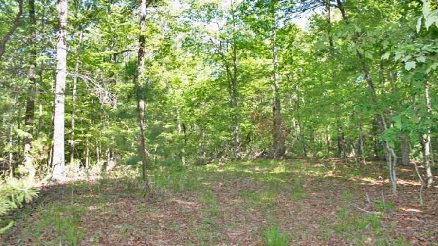 Rolling terrain up above the river