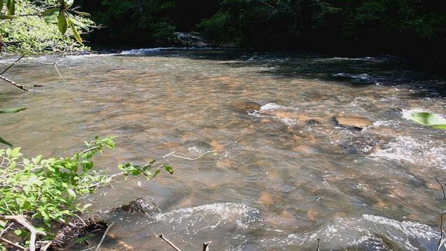 Clean waters from the national forest