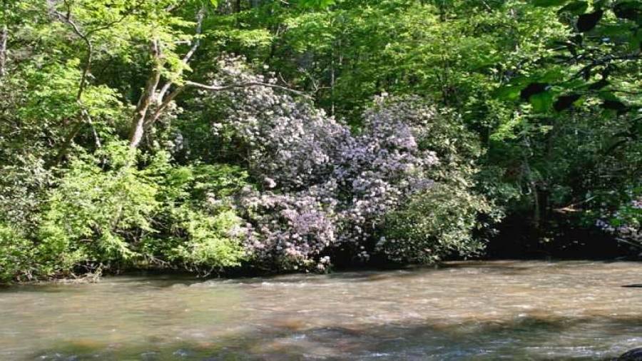 Nearly a mile of river, totally private