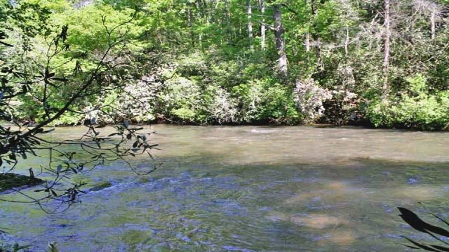 A strong flow of noisy waters