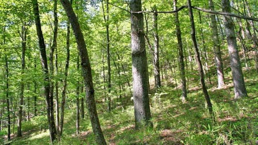 Always a bit of mountain land here in the mountains