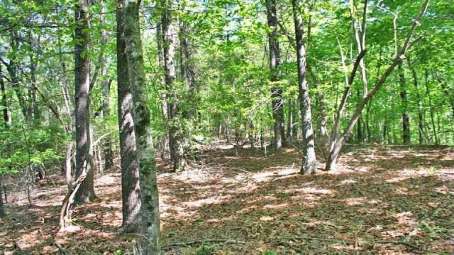 Flat ridgeline across the eastern portion
