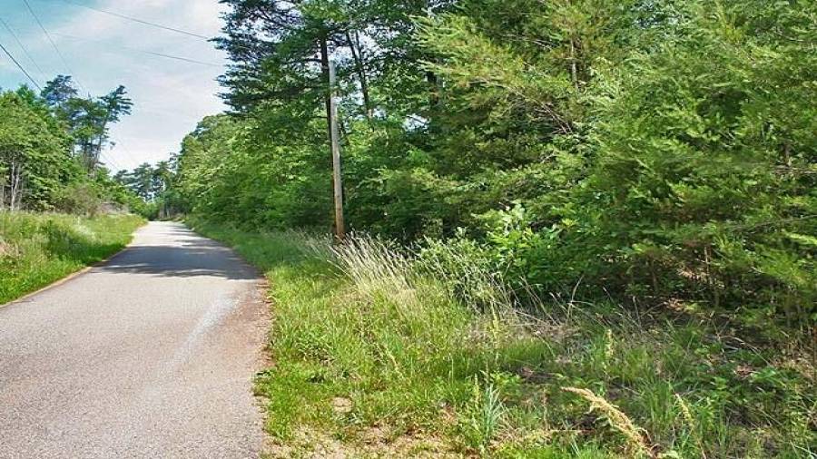 Paved road frontage along Pink Williams Road