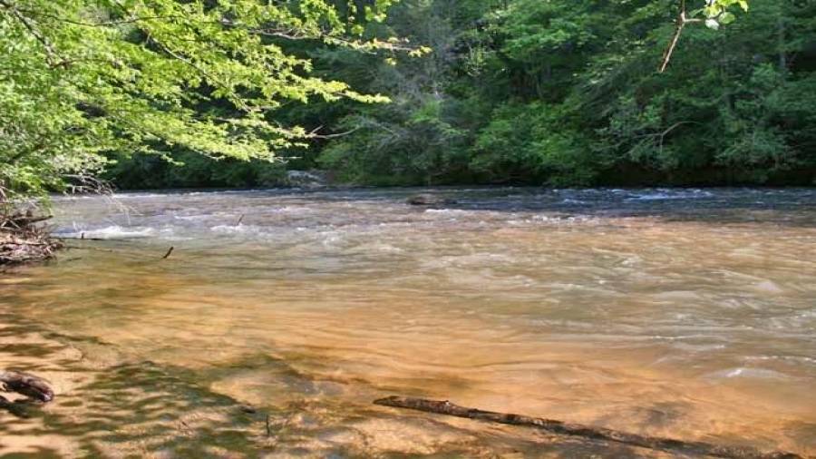 A small sandy beach area