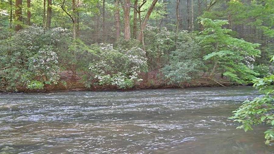 One of the most scenic rivers in Georgia