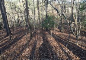 Beautiful clean woods with hardly any underbrush! Gentle slopes from the back of the property to Newport Drive, perfect for a basement home!