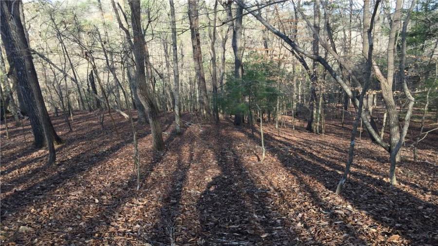 Beautiful clean woods with hardly any underbrush! Gentle slopes from the back of the property to Newport Drive, perfect for a basement home!