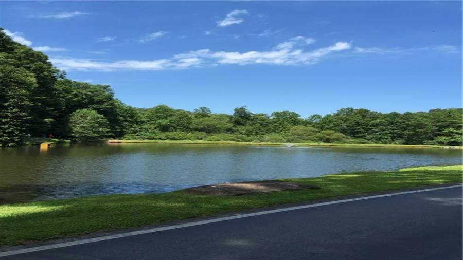 Another pic of the fishing lake.