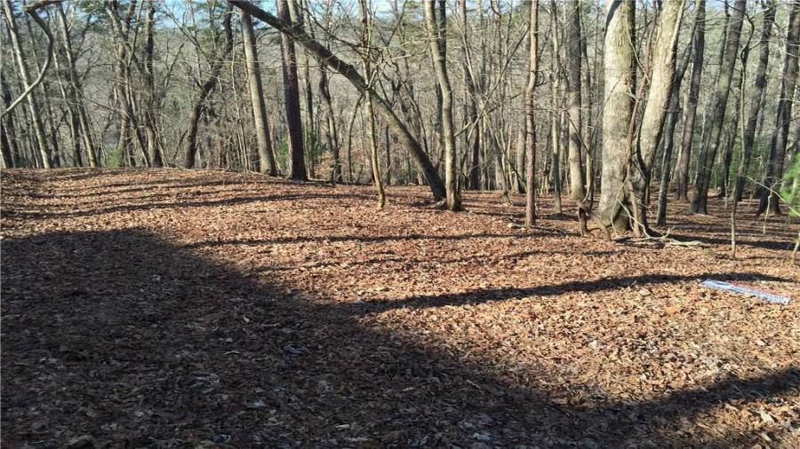 Access road to the top of the property