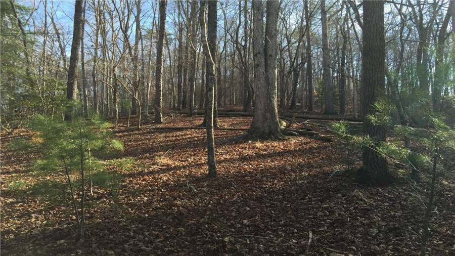 Top section of the property