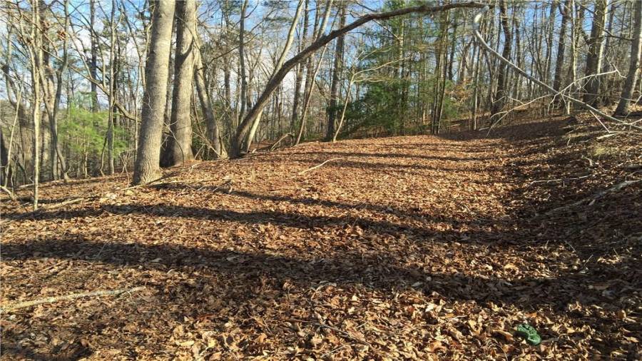 Access road that goes along the top section of many lots which goes to a pebble road.