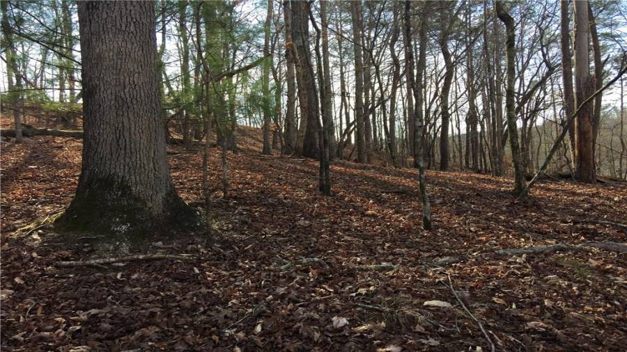 Slant section of the property which ends up at the paved road which is Newport Drive.
